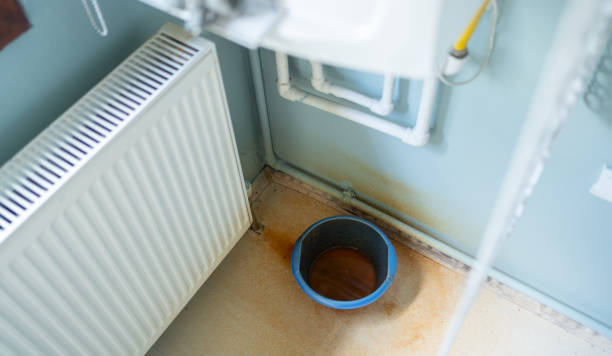 Best Mold removal after water damage  in Cascade Valley, WA